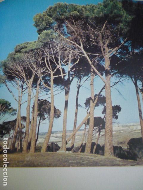 Coleccionismo: MADRID CASA DE CAMPO ANTIGUA LAMINA A&Ntilde;OS 50