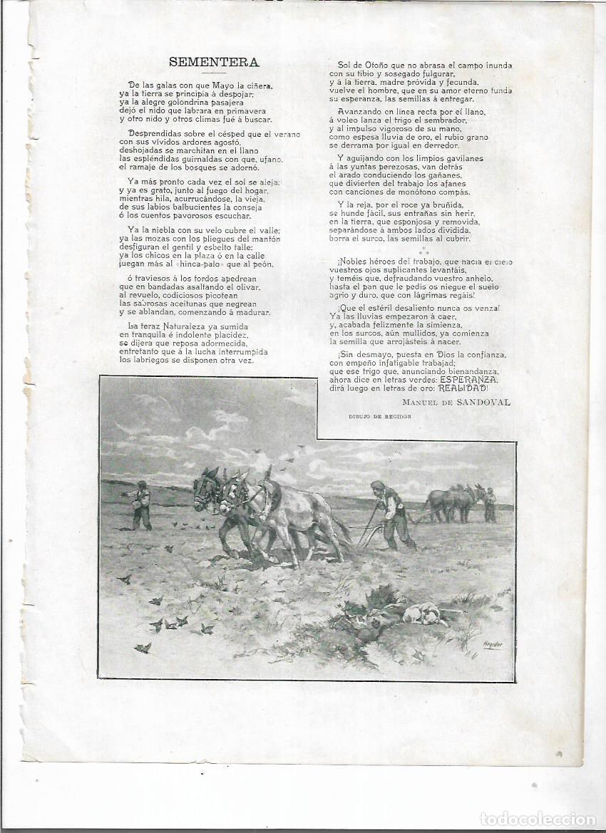 Collecting paper: A&Ntilde;O 1903 RECORTE PRENSA POESIA SEMENTERA POR MANUEL SANDOVAL DIBUJO DE REGIDOR ILUSTRACION