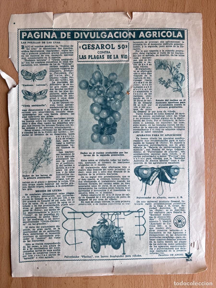 Coleccionismo: DIARIO ABC 1957 - PAGINA DE DIVULGACION AGRICOLA - LAS POLILLAS DE LAS UVAS