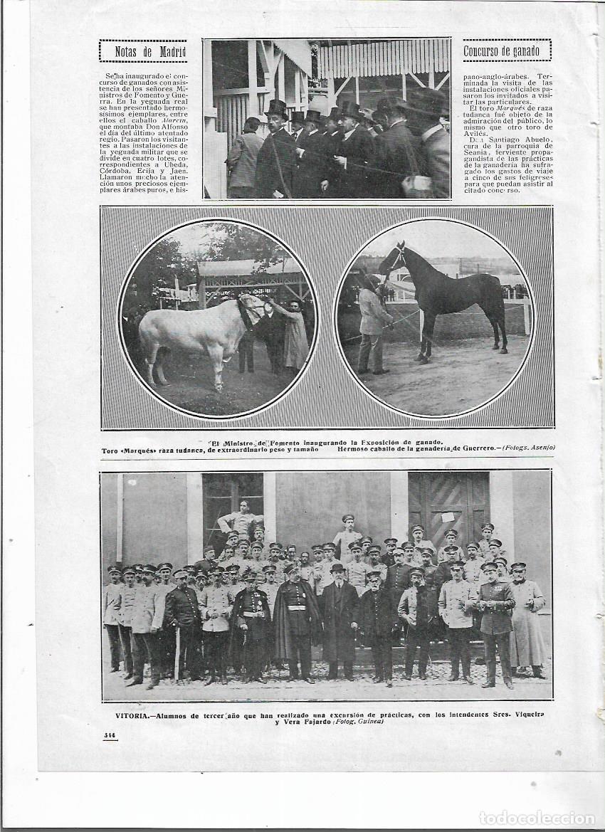 Collezionismo: A&Ntilde;O 1913 RECORTE PRENSA MADRID CONCURSO GANADO TORO MARQUES RAZA TUDANCA CABALLO GANADERIA GUERRERO
