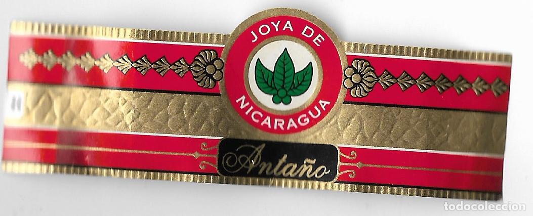 Coleccionismo: VITOLA **JOYA NICARAGUA ** ANTA&Ntilde;O