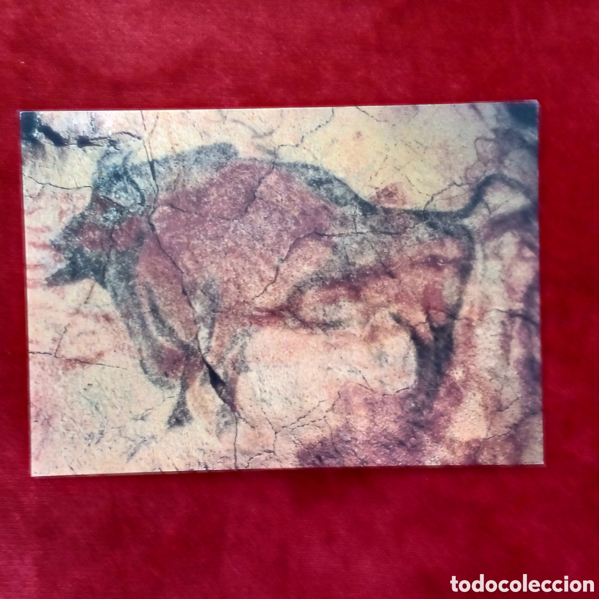 Coleccionismo: Bisonte .cuevas de Altamira.Lamina - Foto 2