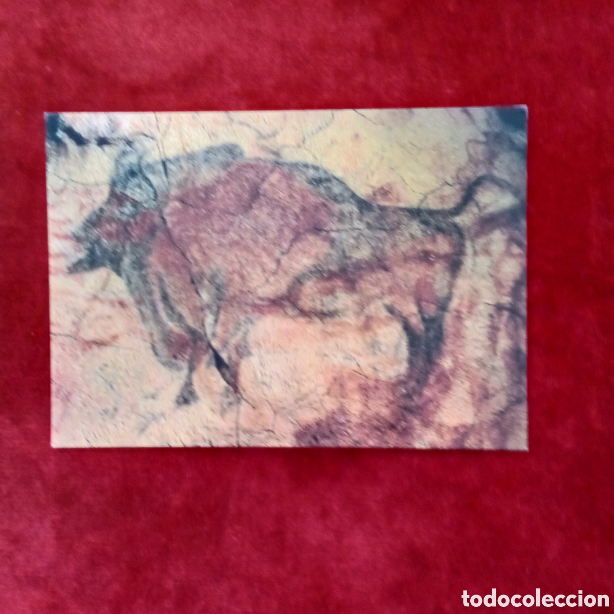 Coleccionismo: Bisonte .cuevas de Altamira.Lamina - Foto 4