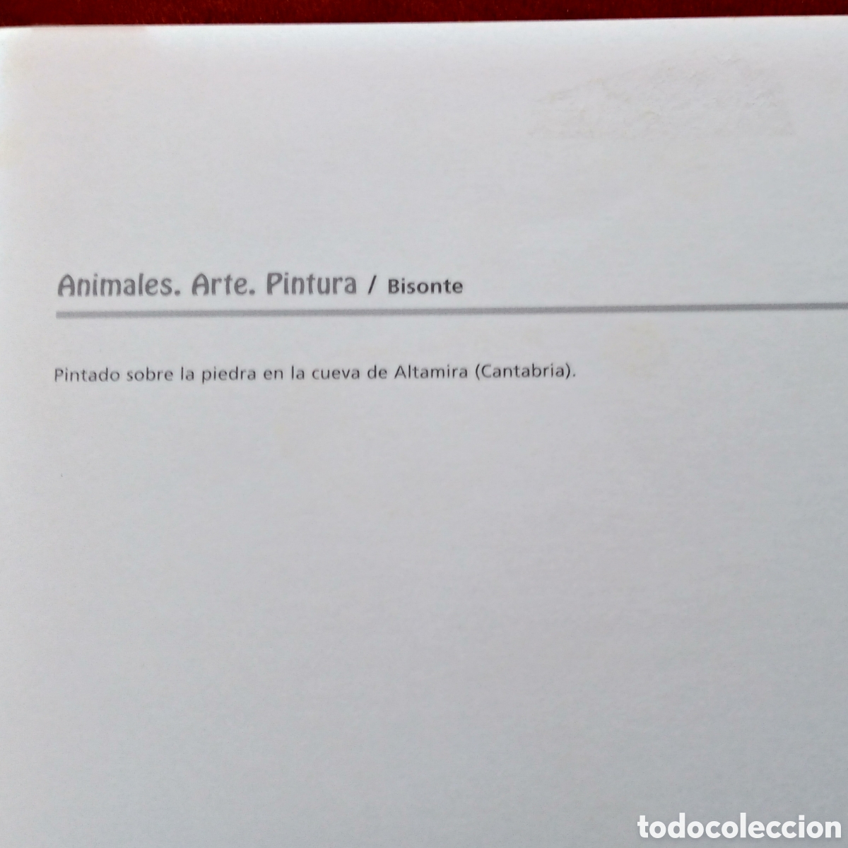 Coleccionismo: Bisonte .cuevas de Altamira.Lamina - Foto 6