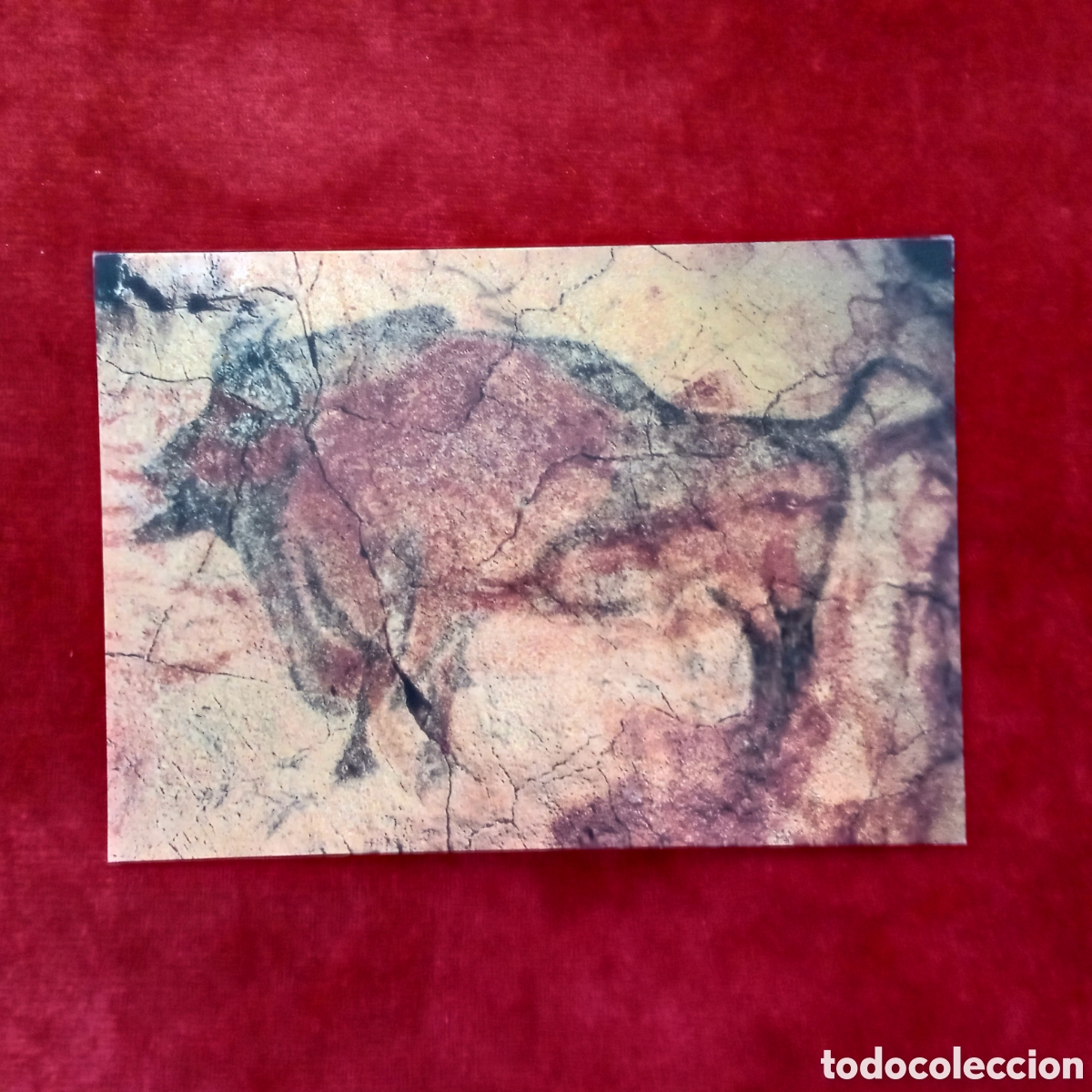 Coleccionismo: Bisonte .cuevas de Altamira.Lamina - Foto 1