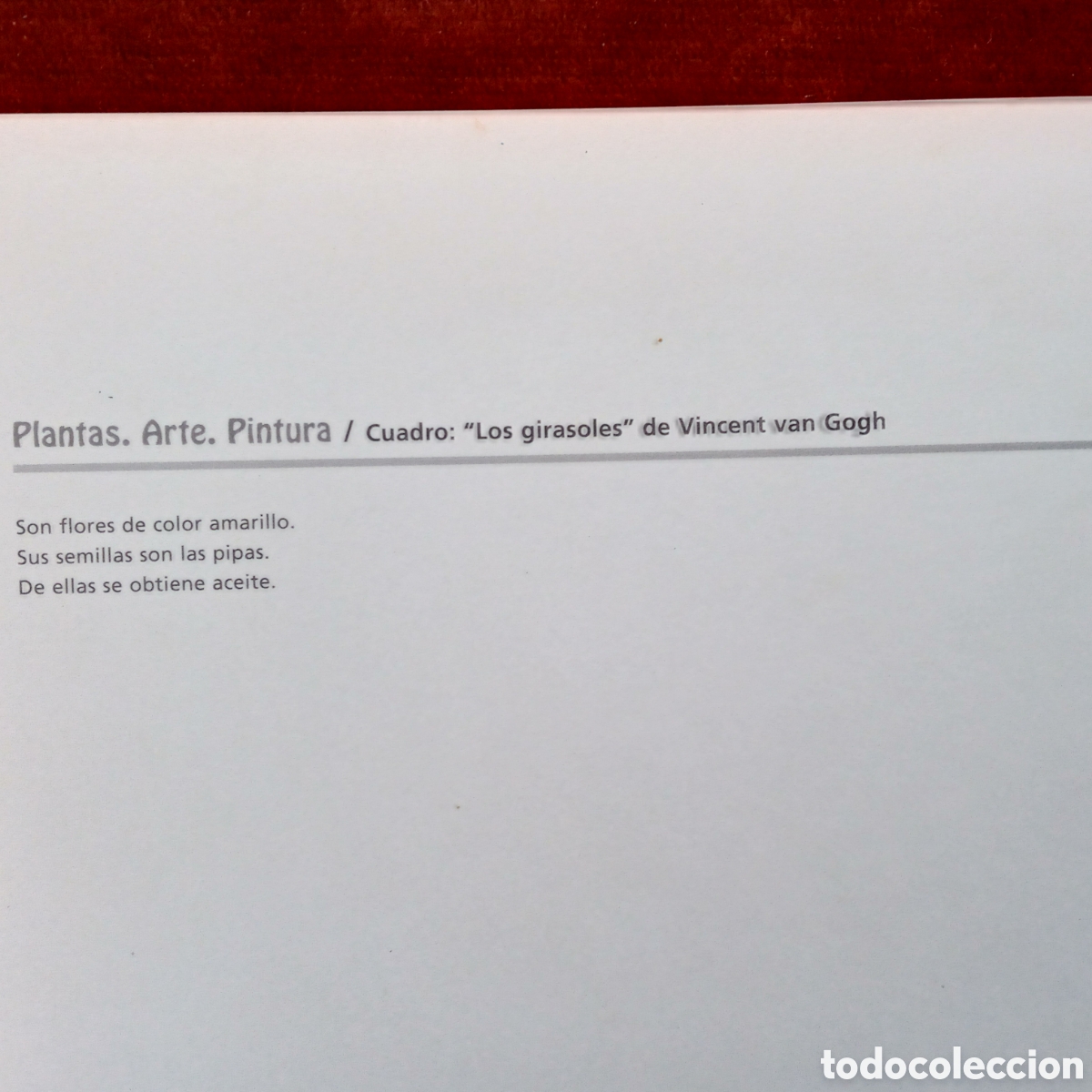 Coleccionismo: Vincent van Gogh.Los Girasoles. - Foto 8
