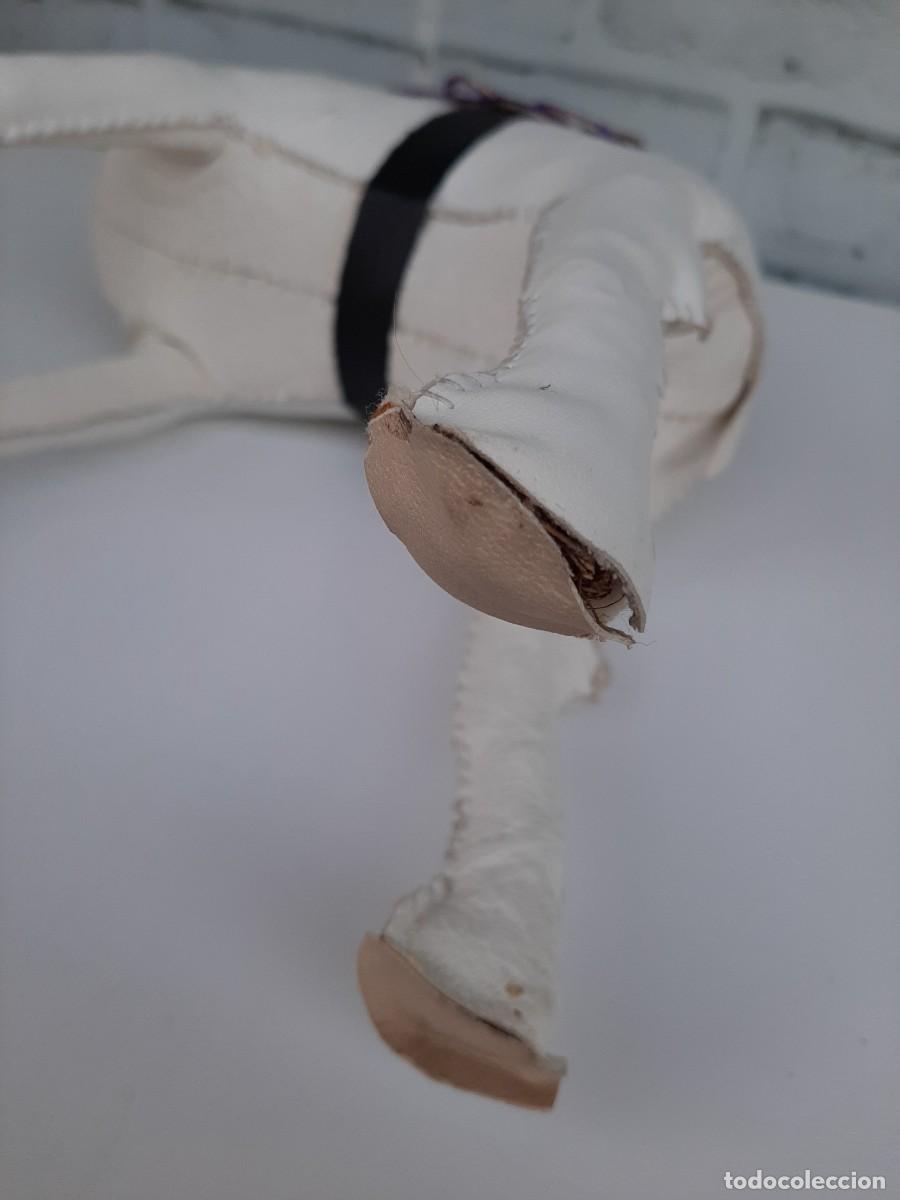 Coleccionismo: BONITO CAMELLO RELLENO - Foto 15