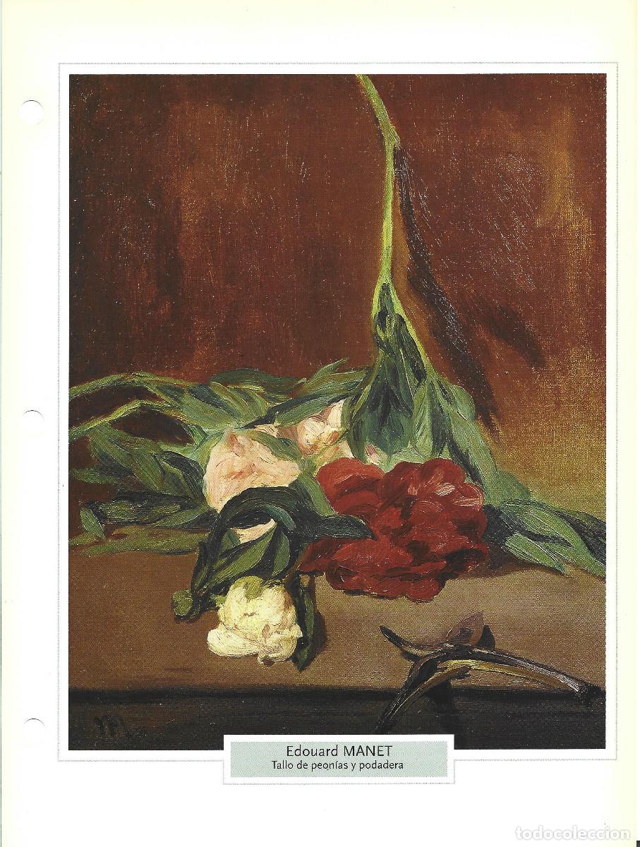 Coleccionismo: EDOUARD MANET. TALLO DE PEON&Iacute;AS Y PODADERA. L&Aacute;MINA FICHA PLANETA DeAGOSTINI 2006