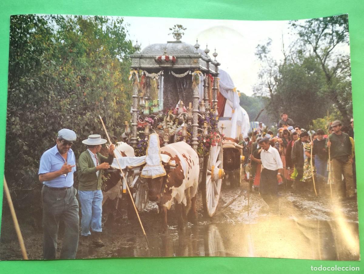 Collectionnisme: CAMINO DEL ROCIO * HERMANDAD ROCIERA * FOTO DE CALENDARIO * 29x42