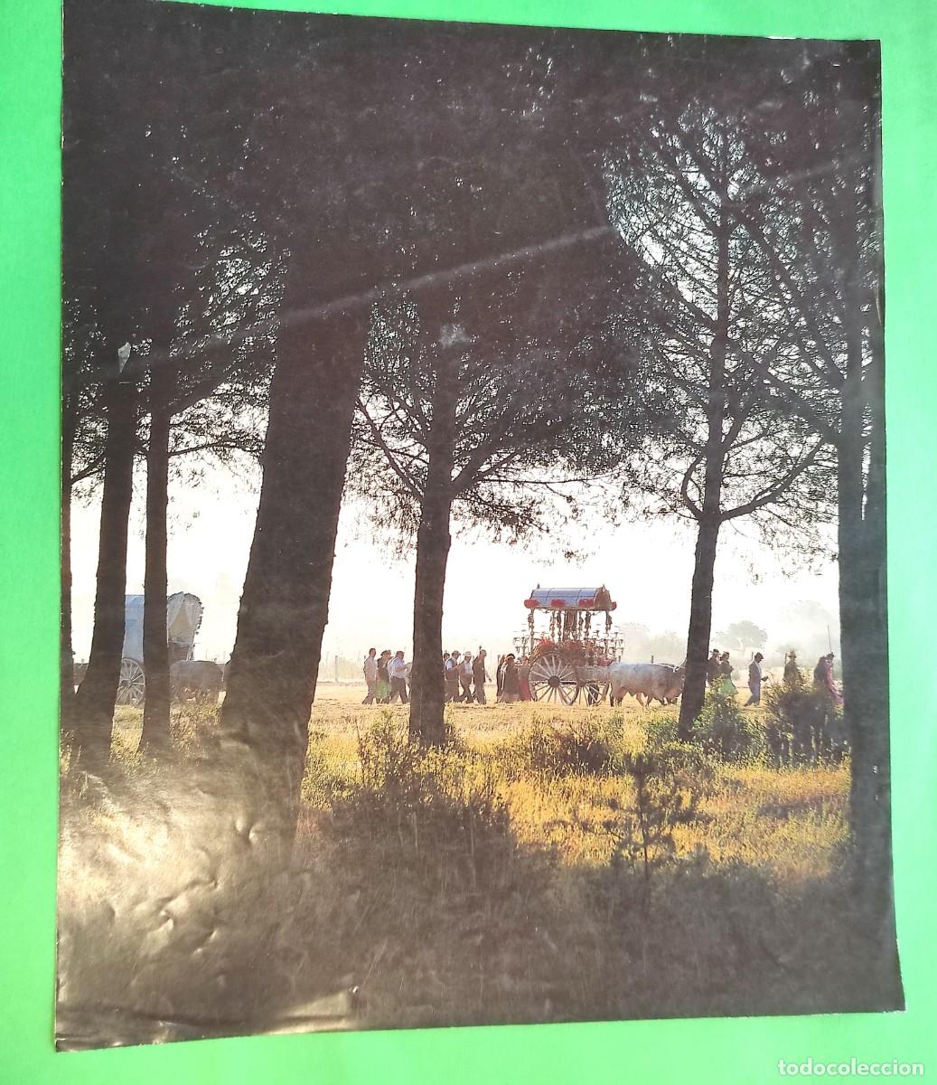 Collectionnisme: CAMINO DEL ROCIO * HERMANDAD ROCIERA * FOTO DE CALENDARIO *31x37