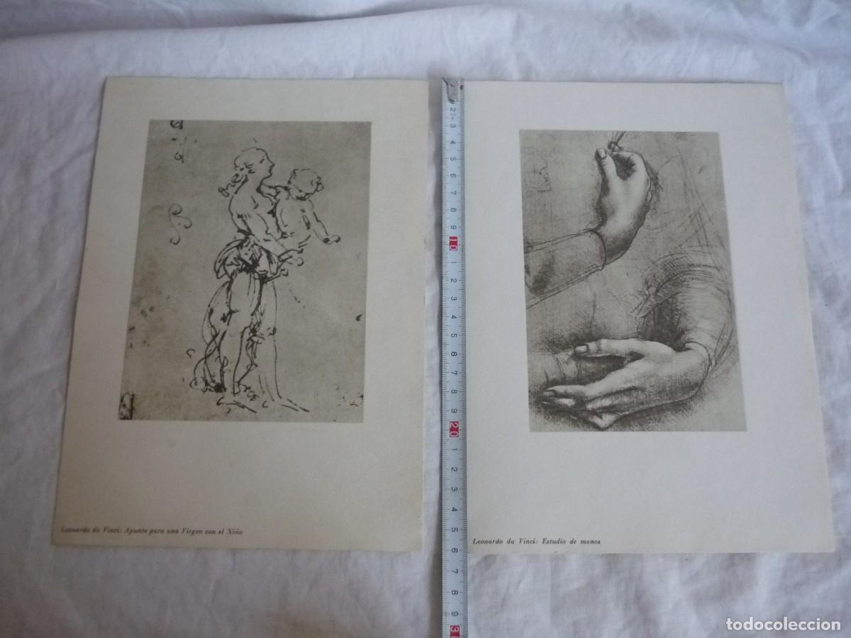 Coleccionismo: 5 l&aacute;minas de dibujos de Leonardo da Vinci - Foto 2