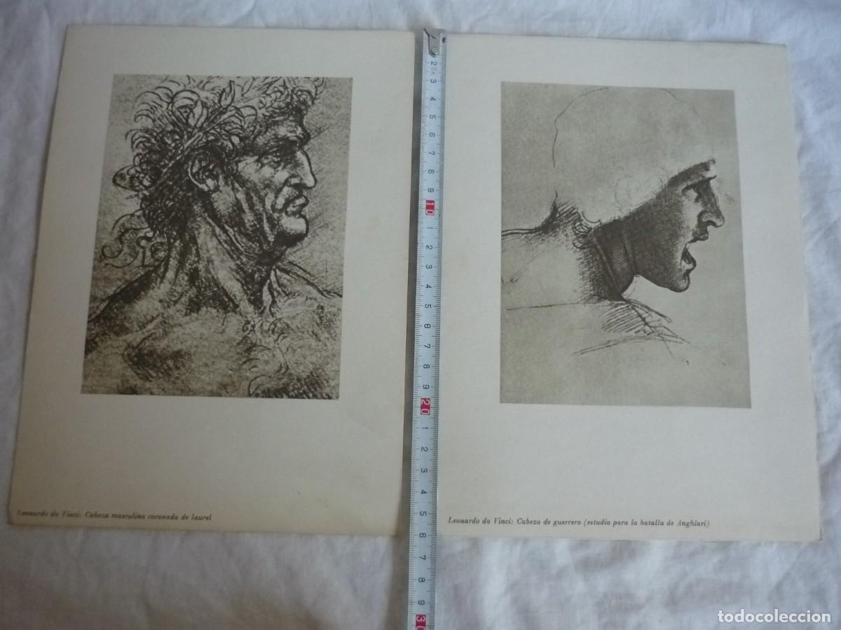 Coleccionismo: 5 l&aacute;minas de dibujos de Leonardo da Vinci - Foto 3