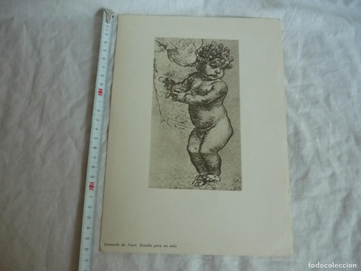 Coleccionismo: 5 l&aacute;minas de dibujos de Leonardo da Vinci - Foto 4