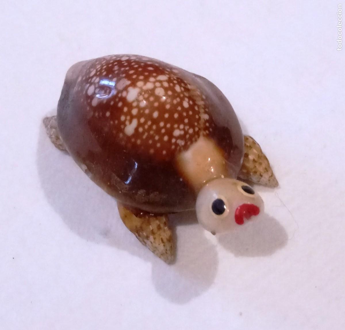 Collecting: TORTUGA -MINIATURA MINI - ORIGINAL - CARACOLAS MARINAS - VER FOTOS Y DATOS- N&ordm; 101