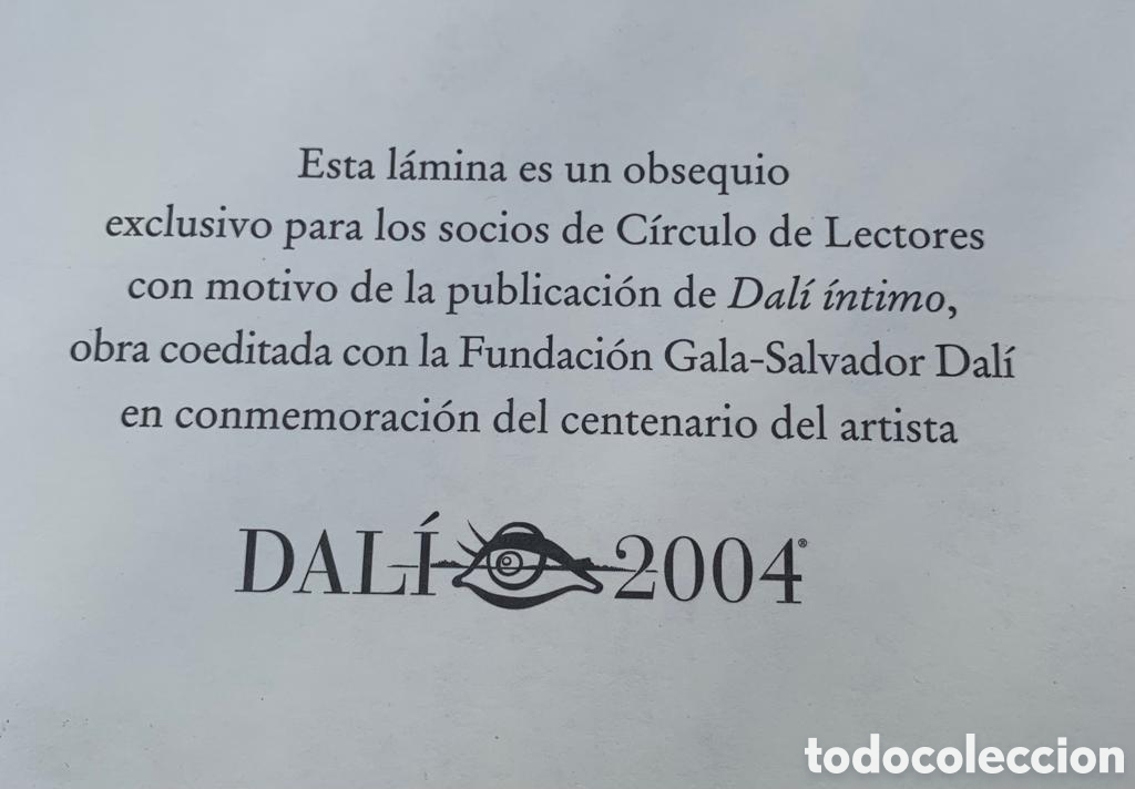 Coleccionismo: L&aacute;mina Dali &Iacute;ntimo a&ntilde;o 2003 - Foto 5