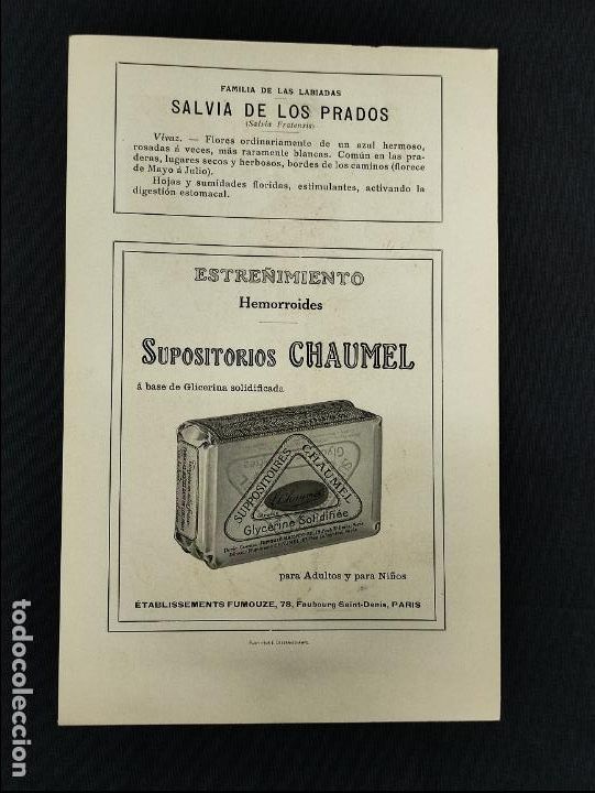 Collezionismo: LAMINA PUBLICIDAD - SUPOSITORIOS CHAUMEL - SALVIA DE LOS PRADOS - GRABADO N&ordm; 2