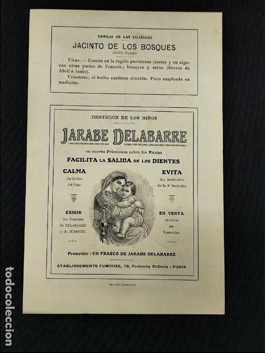 Collezionismo: LAMINA PUBLICIDAD - JARABE DELABARRE - JACINTO DE LOS BOSQUES - GRABADO N&ordm; 3