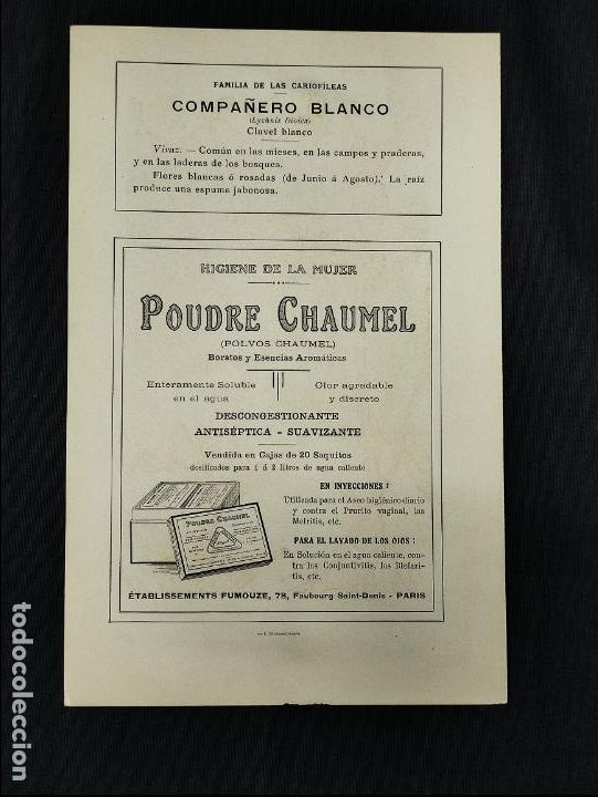 Collezionismo: LAMINA PUBLICIDAD - HIGIENE DE LA MUJER - POUDRE CHAUMEL - COMPA&Ntilde;ERO BLANCO - GRABADO N&ordm; 4