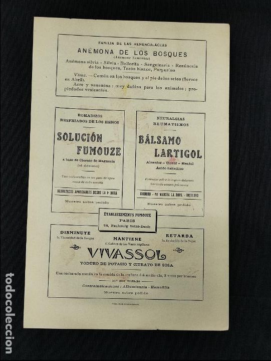 Collezionismo: LAMINA PUBLICIDAD - FUMOUZE - BALSAMO LARTIGOL - ANEMONA DE LOS BOSQUES - GRABADO N&ordm; 6