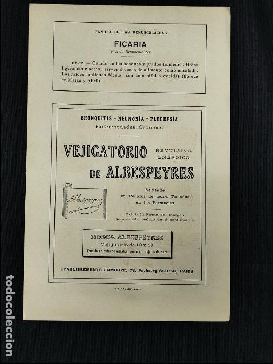 Collezionismo: LAMINA PUBLICIDAD - VEJIGATORIO DE ALBESPEYRES - FICARIA - GRABADO N&ordm; 5