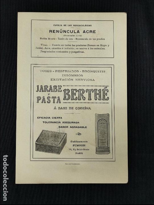 Coleccionismo: LAMINA PUBLICIDAD - JARABE Y PASTA BERTHE - RENUNCULA ACRE - GRABADO N&ordm; 7