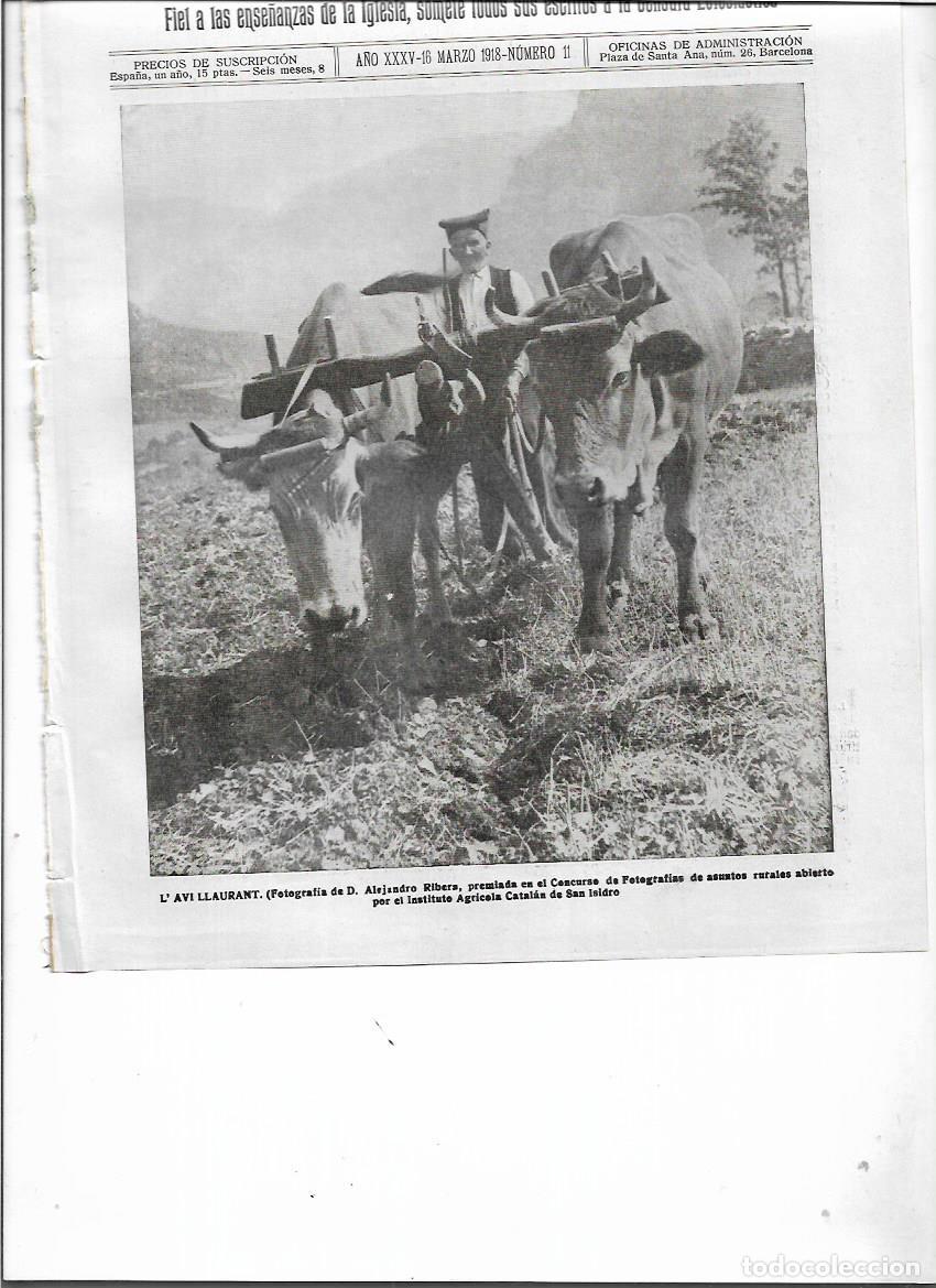 Colecionismo: A&Ntilde;O 1918 RECORTE PRENSA FOTOGRAFIA ALEJANDRO RIBERA AVI LLAURANT ABUELO LABRANDO BUEYES CAMPO