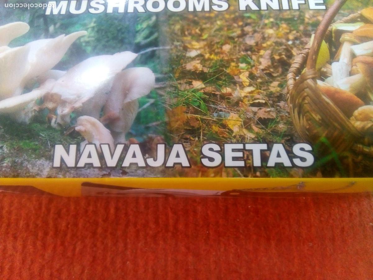 Coleccionismo: NAVAJA SETAS - Foto 3