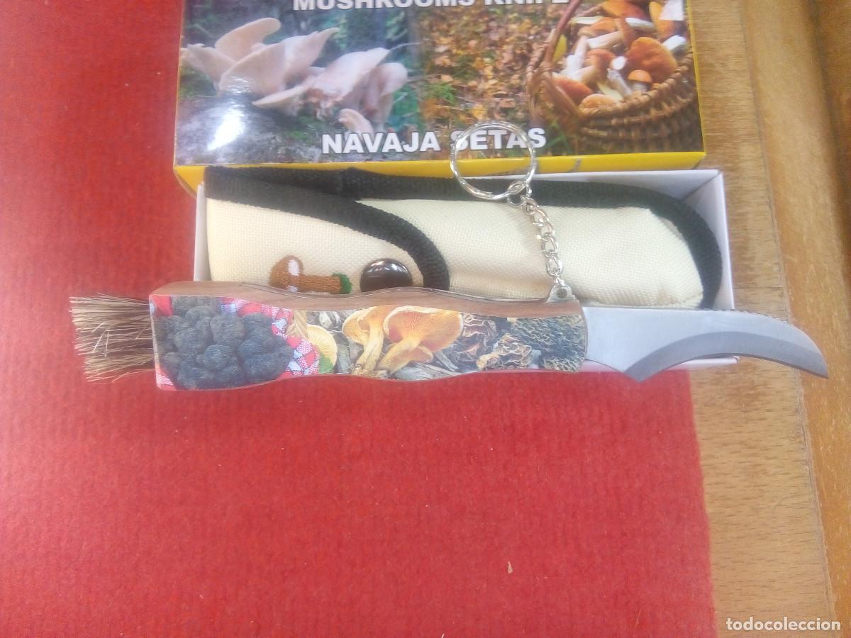 Coleccionismo: NAVAJA SETAS - Foto 6