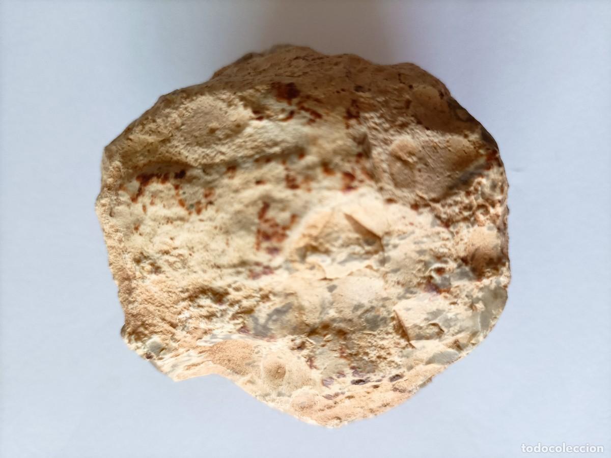 Collectionnisme: Percutor de piedra Ca 8500 - 4500 aC (L32/3)