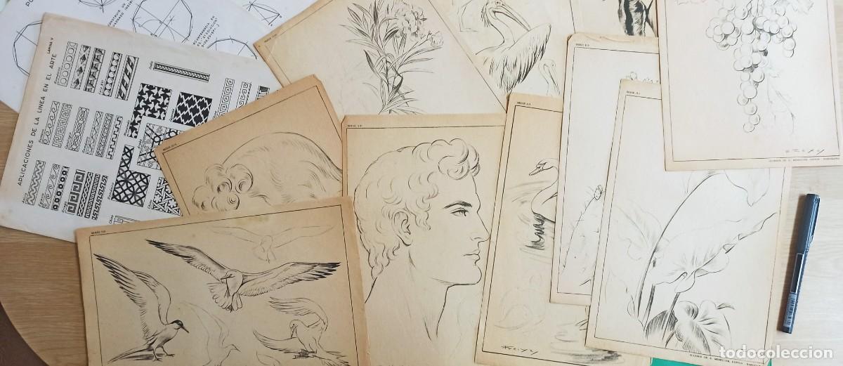 Collecting paper: Gran lote laminas de dibujo antiguos. Aprender a dibujar. Freixas.