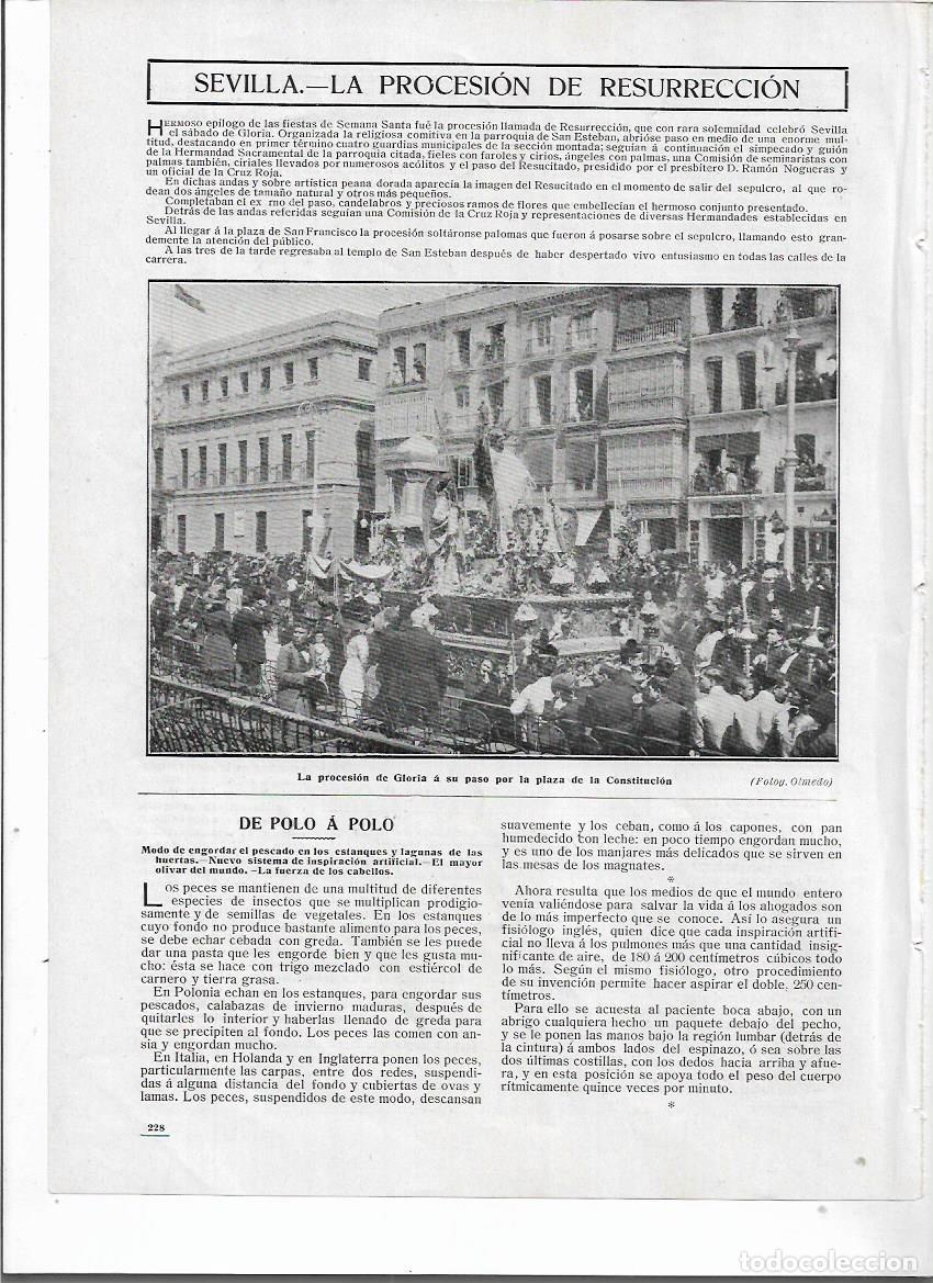 Colecionismo: A&Ntilde;O 1910 RECORTE PRENSA SEVILLA PROCESION DE GLORIA PASO POR LA PLAZA DE LA CONSTITUCION