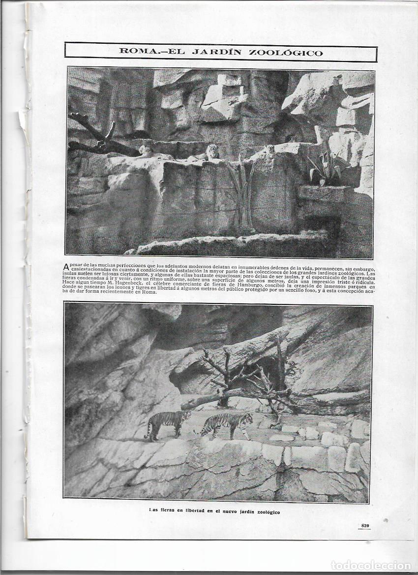 Coleccionismo: A&Ntilde;O 1910 RECORTE PRENSA ROMA ITALIA JARDIN PARQUE ZOOLOGICO ANIMALES EN LIBERTAD FIERAS LEONES