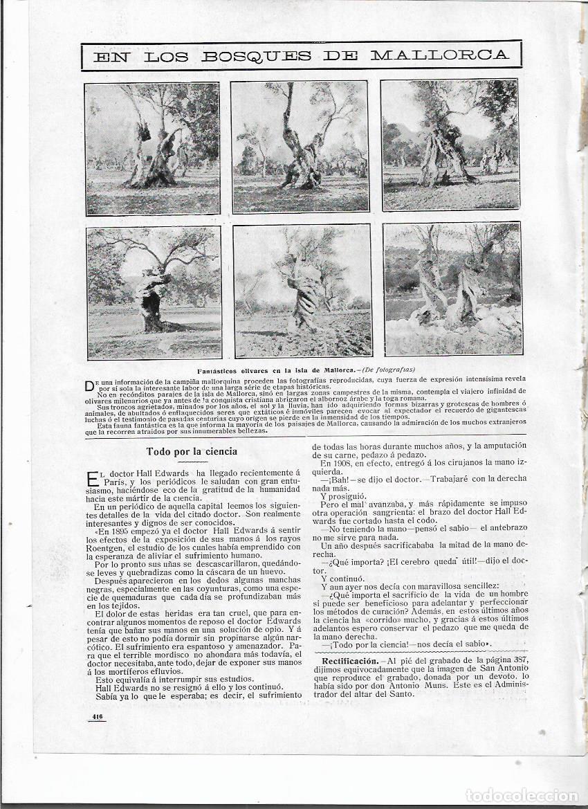 Coleccionismo: A&Ntilde;O 1910 RECORTE PRENSA MALLORCA OLIVOS OLIVERES EN LOS BOSQUES DE MALLORCA