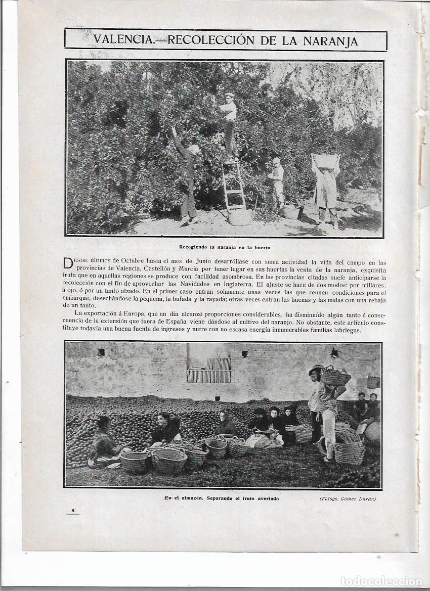 Colecionismo: A&Ntilde;O 1910 RECORTE PRENSA VALENCIA RECOLECCION NARANJA HUERTA EMBARQUE ENVASE ARREGLO APARTADO