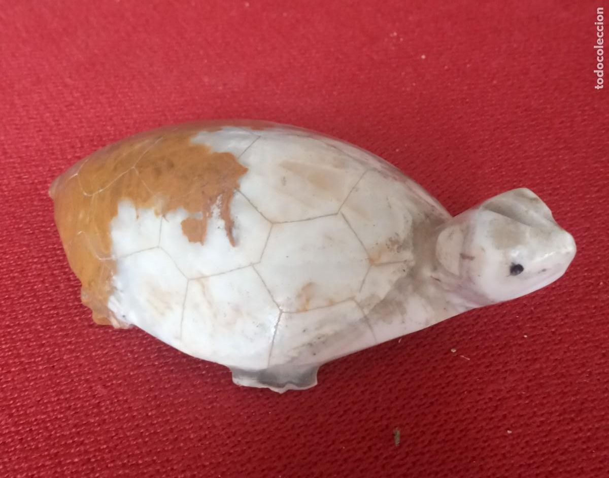 Coleccionismo: TORTUGA - MARMOL - CON AGUAS MARRONES - VER FOTOS - N&ordm; 61