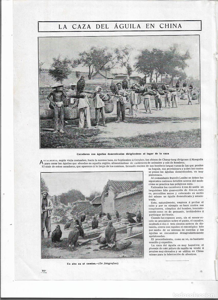 Coleccionismo: A&Ntilde;O 1910 RECORTE PRENSA LA CAZA DEL AGUILA EN CHINA CAZADORES DE AGUILAS DOMESTICADAS