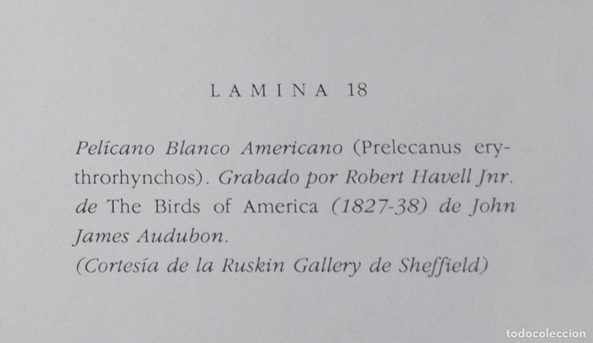 Coleccionismo: 6 Laminas De P&aacute;jaros - Foto 2
