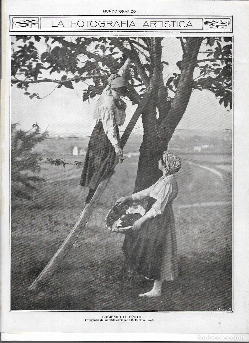 Colecionismo: A&Ntilde;O 1916 RECORTE PRENSA FOTOGRAFIA ARTISTICA COGIENDO EL FRUTO FOTO AFICIONADO ENRIQUE PONTE