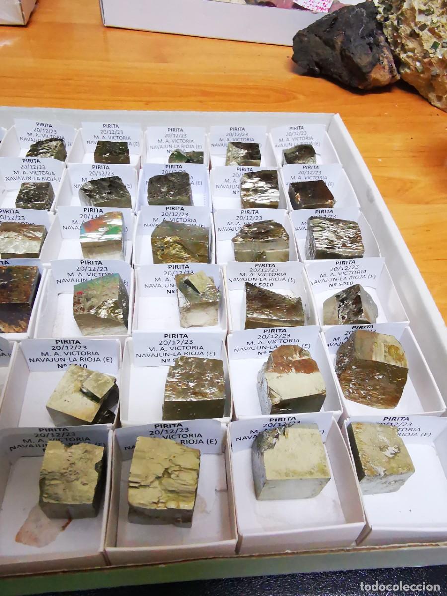 Coleccionismo: LOTE 103 DE PIRITAS GRANDES - Foto 3