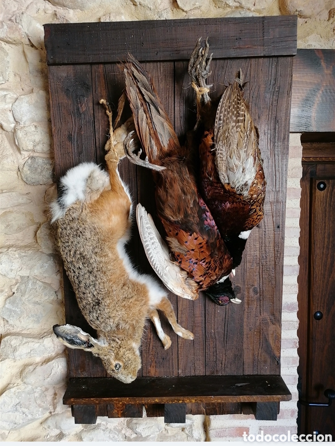 Coleccionismo: Bodegon caza taxidermia - Foto 1
