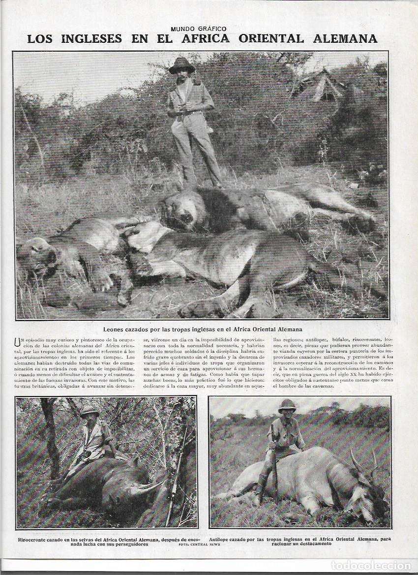 Colecionismo: A&Ntilde;O 1916 RECORTE PRENSA TROPAS INGLESAS EN AFRICA CAZA MAYOR CACERIA LEONES RINOCERONTE ANTILOPE