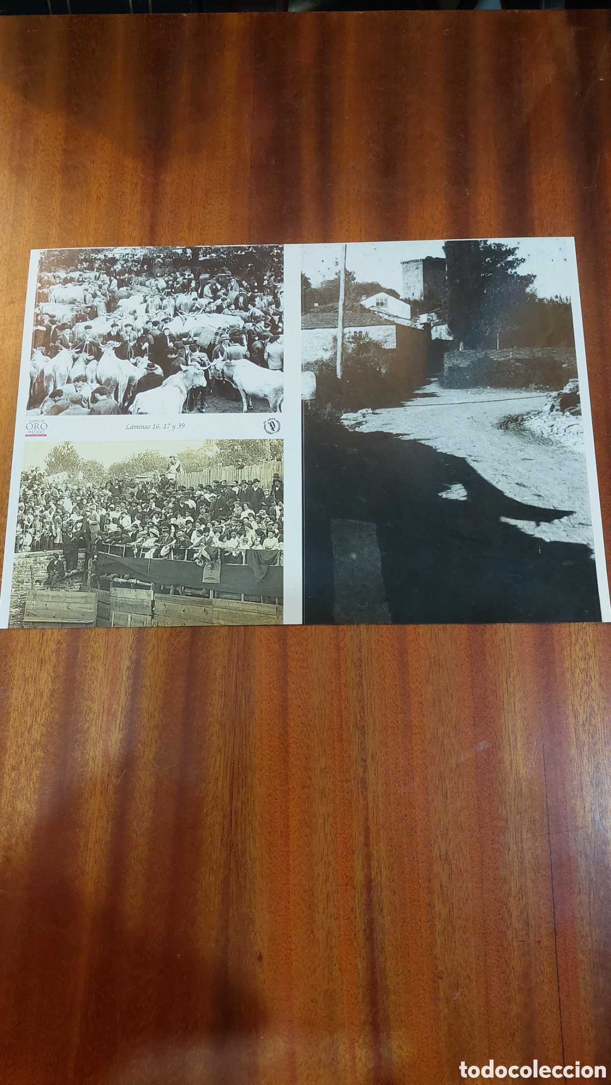 Collectionnisme: L&aacute;mina cromo libro oro de lugo feira ganado 16 17 39 castillo