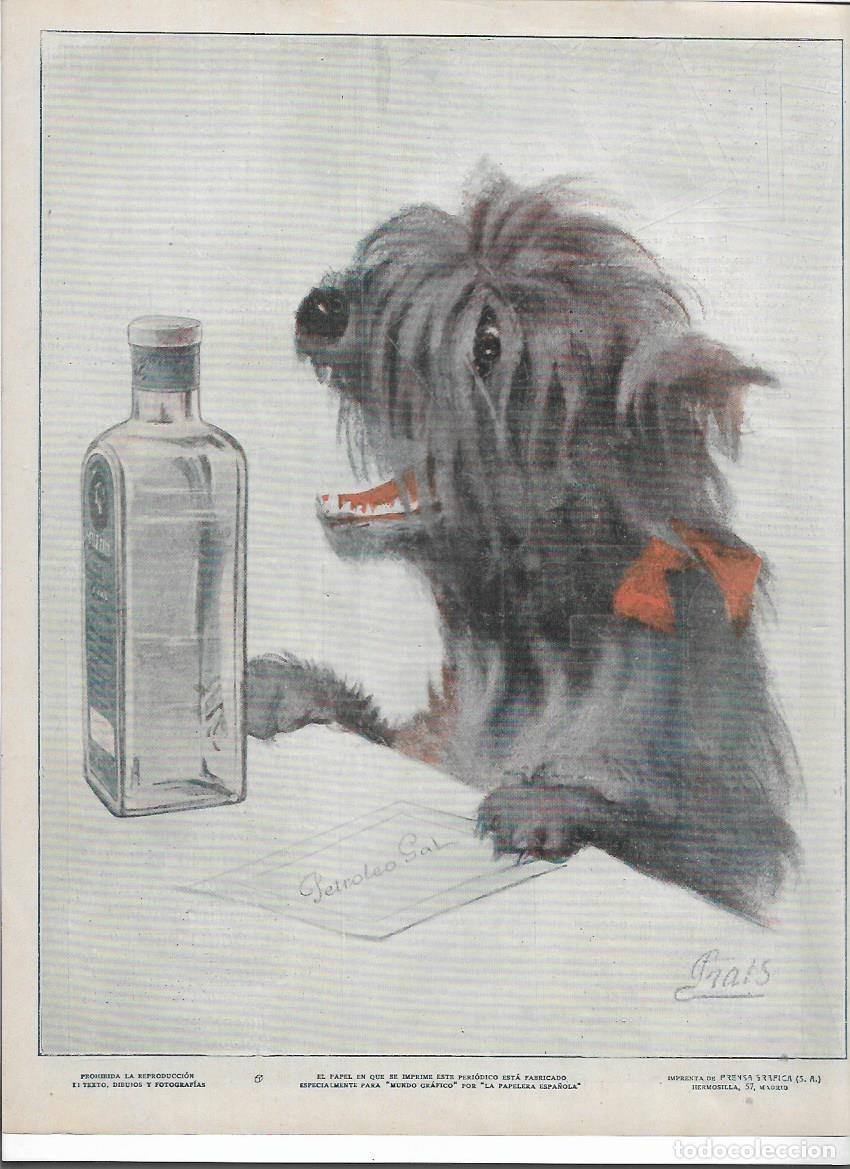 Colecionismo: A&Ntilde;O 1916 RECORTE PRENSA PUBLICIDAD PETROLEO GAL PARA EL PELO CUIDADO DEL CABELLO DIBUJO PRATS