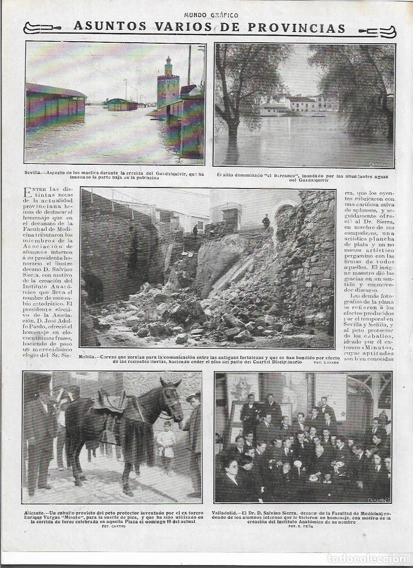 Collecting paper: A&Ntilde;O 1916 RECORTE PRENSA VALLADOLID HOMENAJE A SALVINO SIERRA CREACION INSTITUTO ANATOMICO