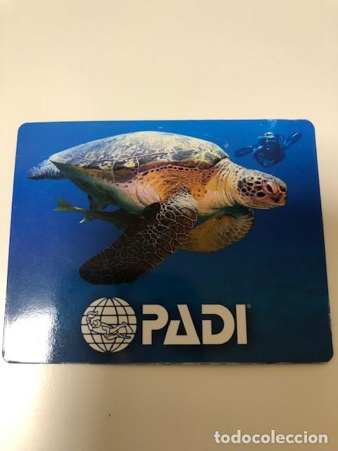 Coleccionismo: Iman Tortuga