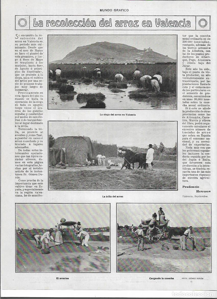 Colecionismo: A&Ntilde;O 1920 RECORTE PRENSA VALENCIA RECOLECCION DEL ARROZ SIEGA TRIGA AVENTEO CARRO BUEY ARROZAL