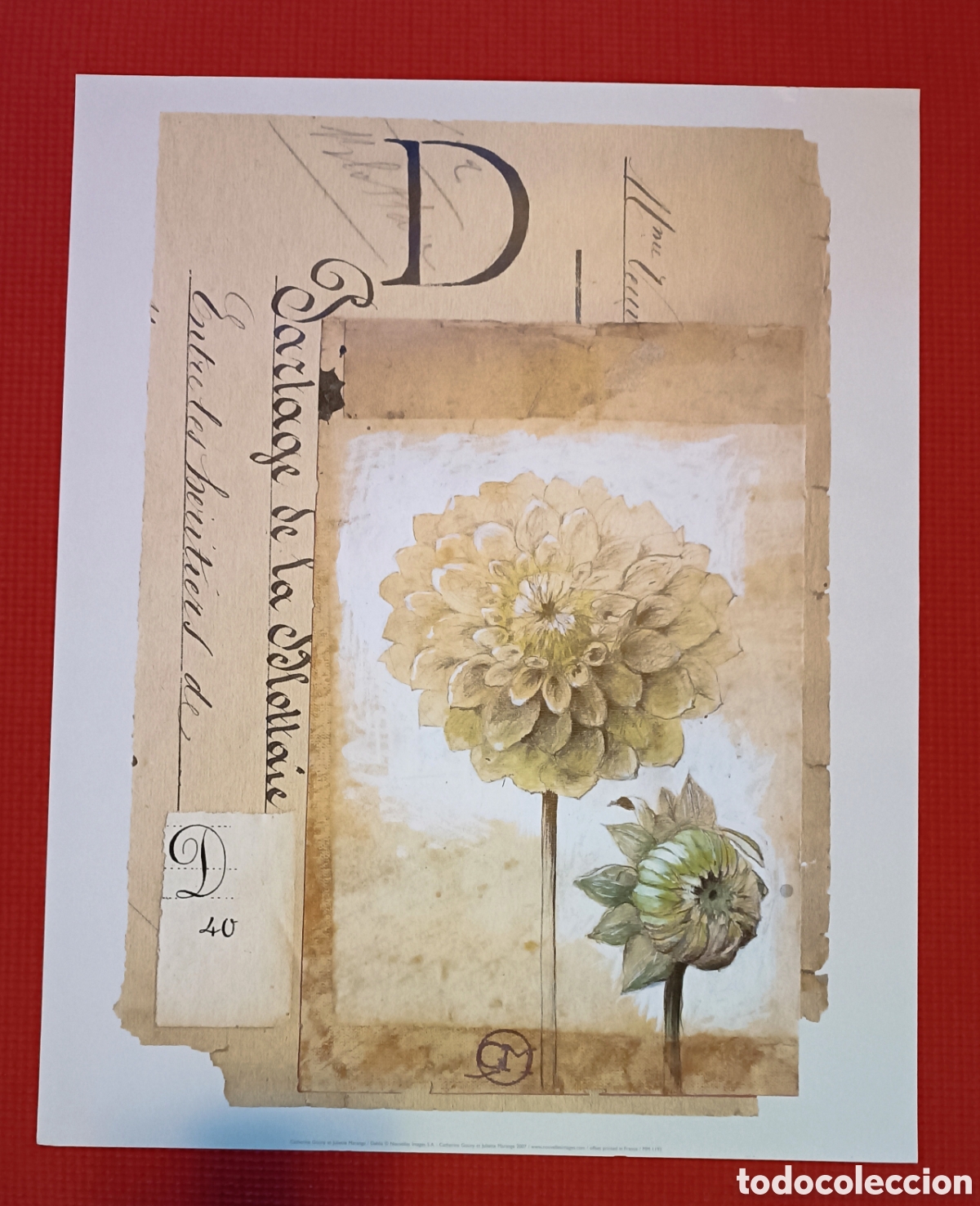 Coleccionismo: Lote de dos l&aacute;minas decorativas - Foto 2