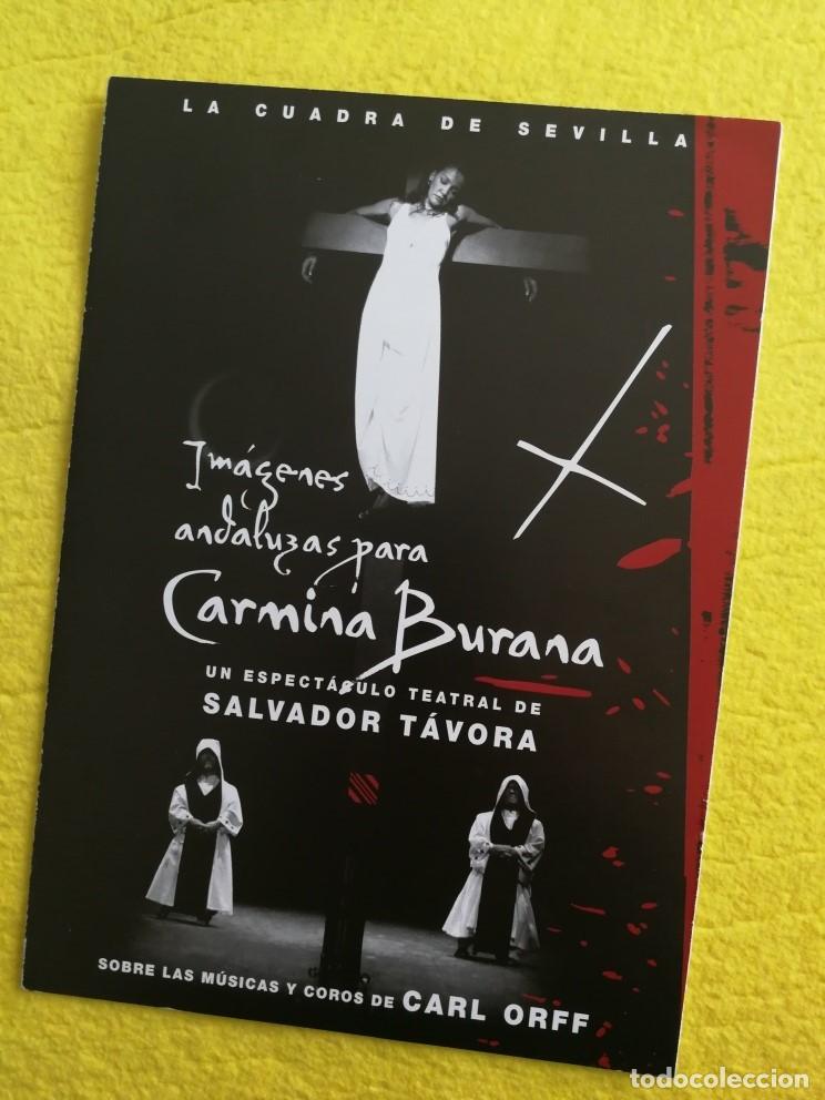 Coleccionismo: PROGRAMA DE TEATRO - CARMINA BURANA - Foto 1