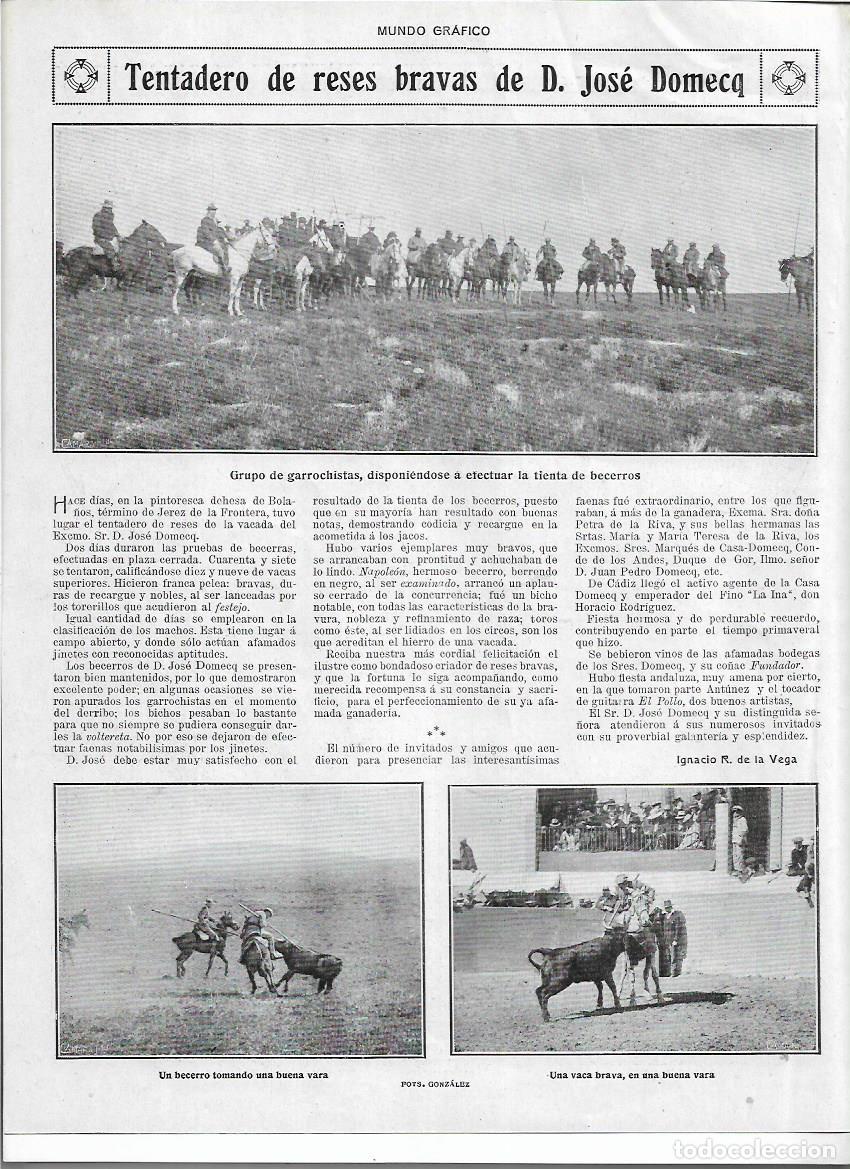 Coleccionismo: A&Ntilde;O 1920 RECORTE PRENSA TENTADERO RESES BRAVAS DE JOSE DOMECQ GARROCHISTAS VACAS BECERROS
