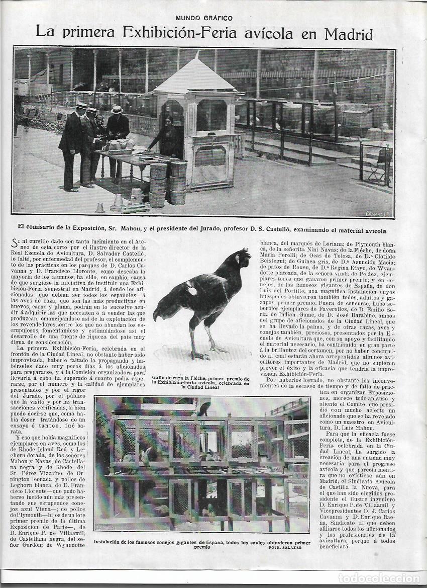 Sammelleidenschaft Papier: A&Ntilde;O 1920 RECORTE PRENSA MADRID FERIA AVICOLA CONEJOS GIGANTES GALLO RAZA LA FLECHE